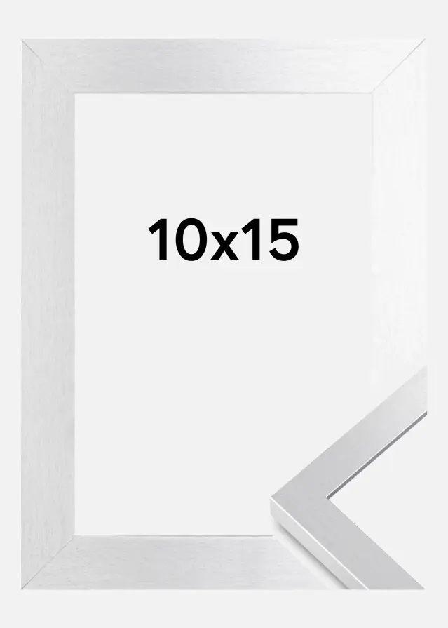 BGA Frame Selection Acrylic Glass Silver 10x15 cm