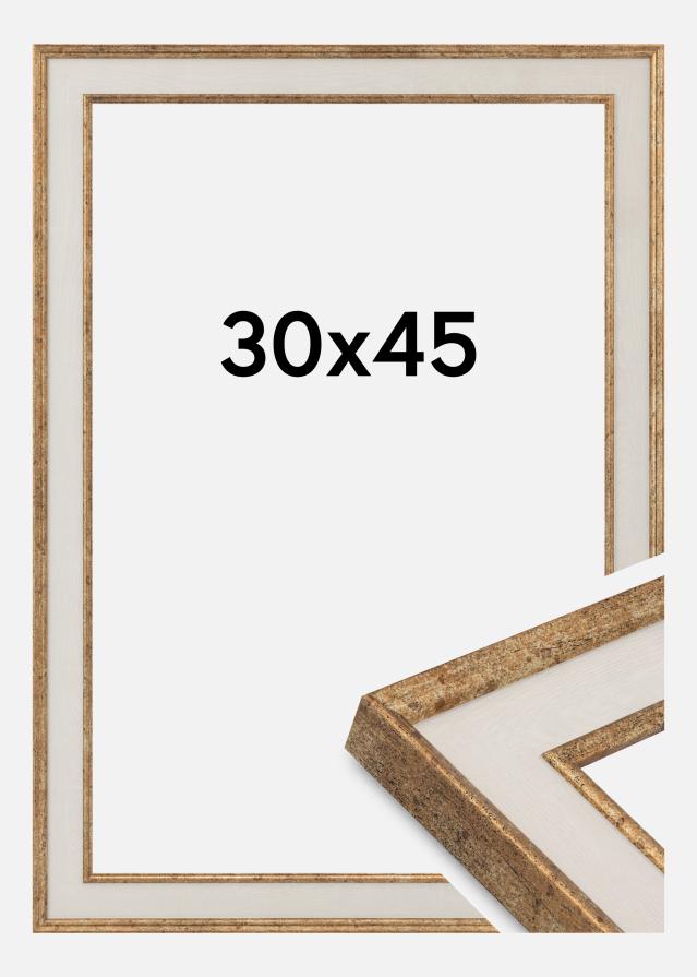 Jämtlands Ramfabrik Frame Dolly Acrylic Glass Gold 30x45 cm