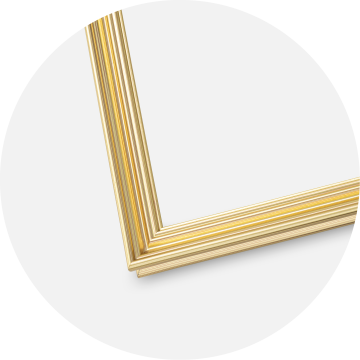 Focus Frame Verona Gold 10x15 cm