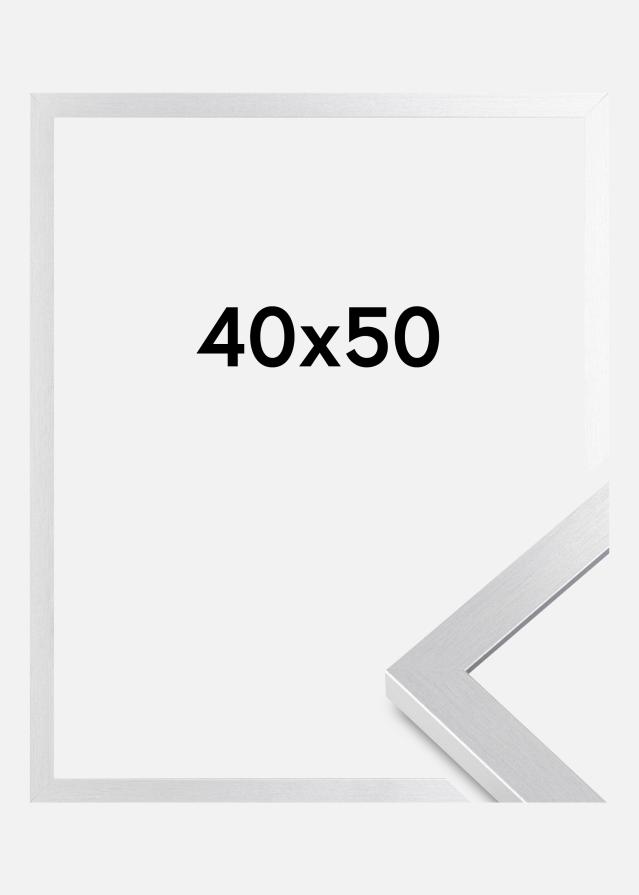 BGA Frame Selection Acrylic Glass Silver 40x50 cm