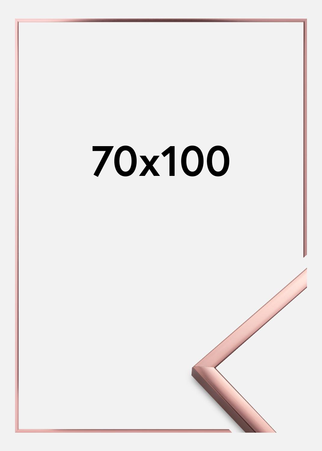 Product Image for Frame Poster Aluminum Acrylic glass Rose Gold 70x100 cm