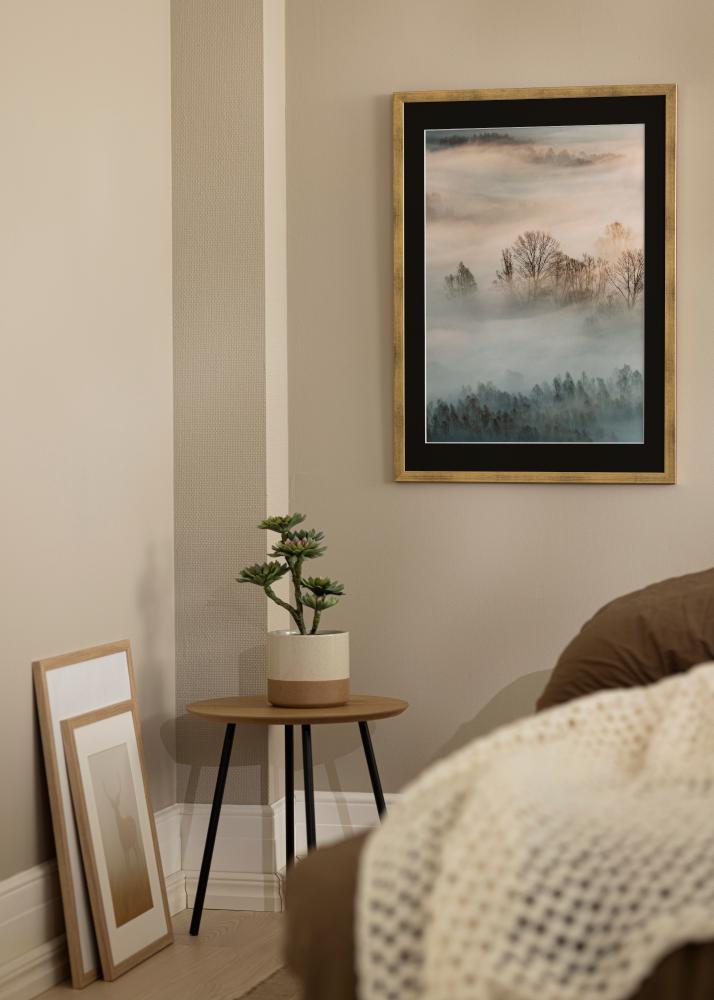Ram med passepartou Frame Stilren Gold 20x30 cm - Picture Mount Black 15x21 cm