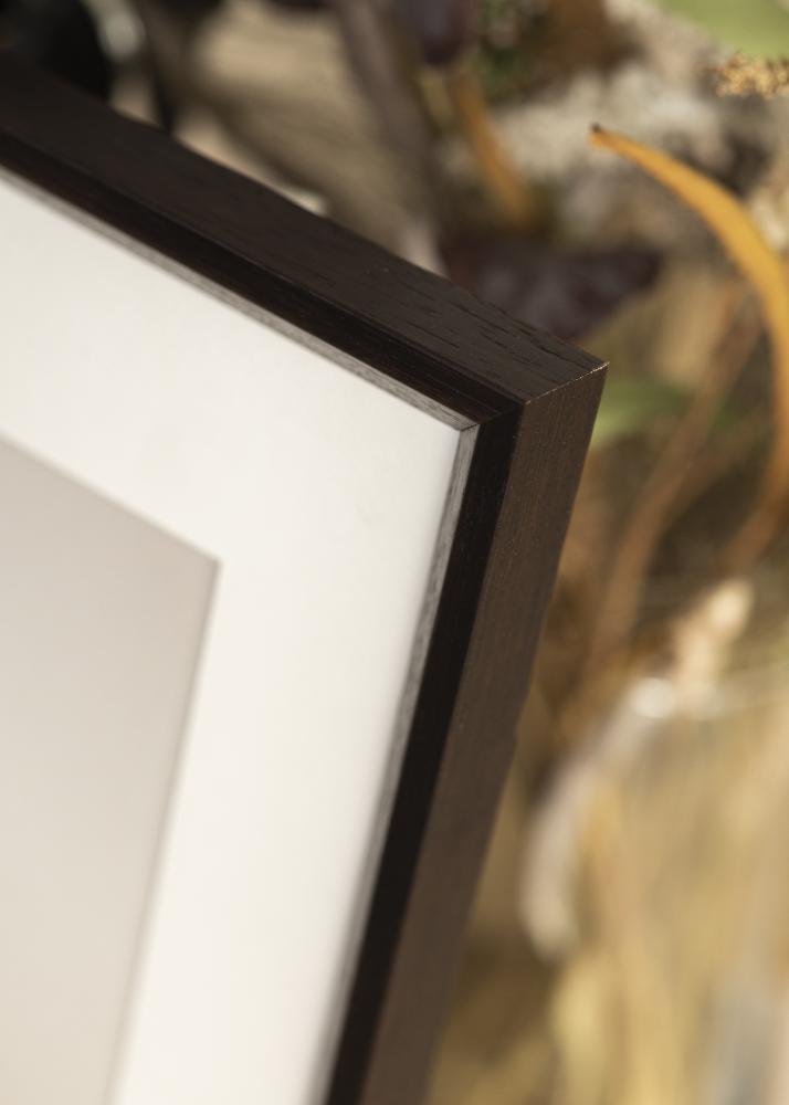 Galleri 1 Frame Globe Acrylic glass Espresso 35x50 cm