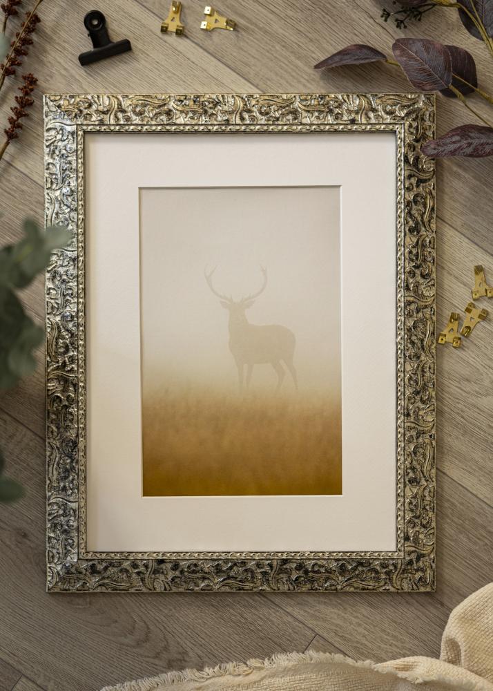 Ramverkstad 60x90 Ombud Frame Ralph Silver - Custom Size