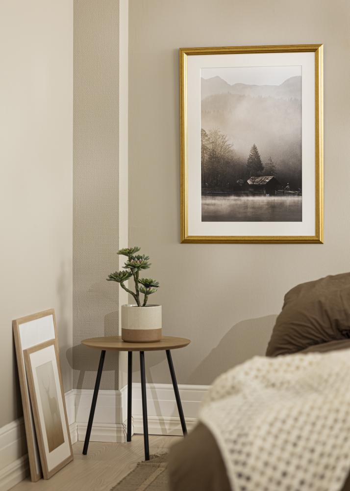 Jämtlands Ramfabrik Frame Västkusten Acrylic glass Gold 60x86 cm