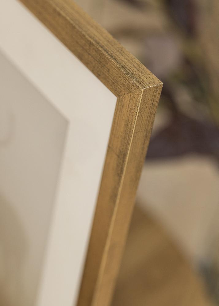 Estancia Frame Stilren Acrylic glass Gold 50x70 cm