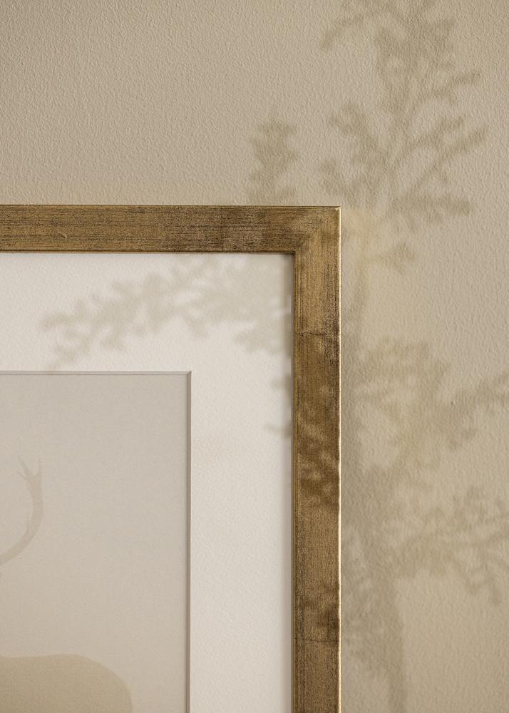 Estancia Frame Stilren Acrylic glass Gold 50x70 cm