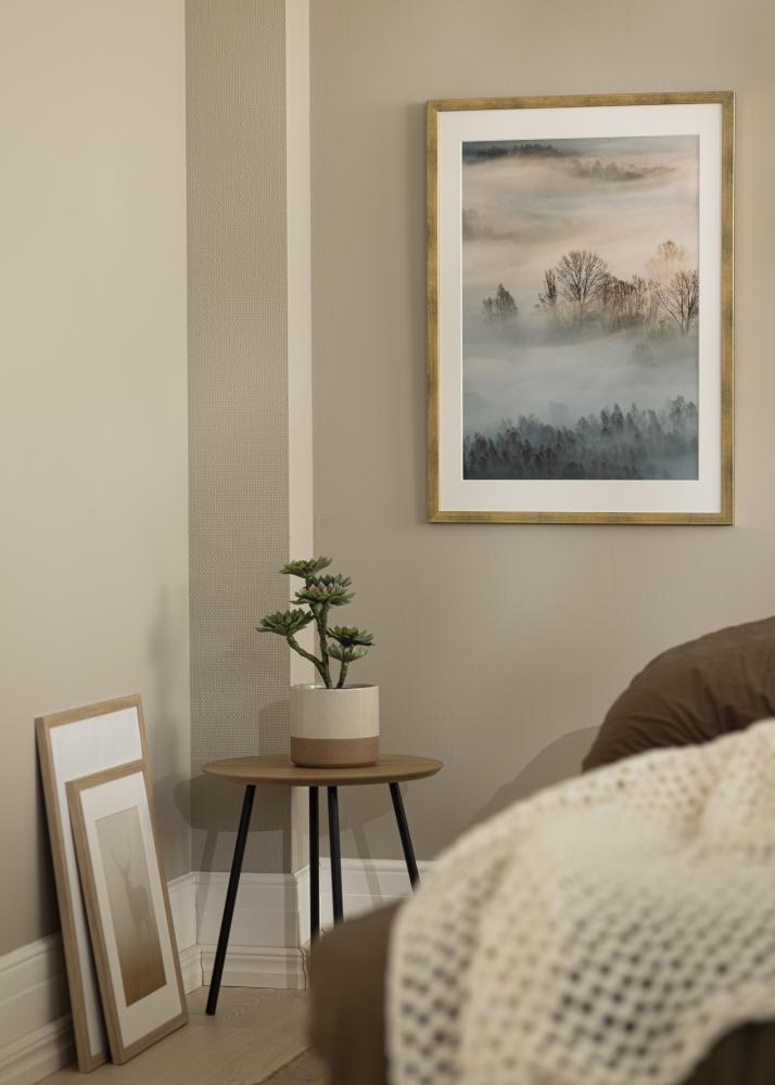 Estancia Frame Stilren Acrylic glass Gold 50x70 cm