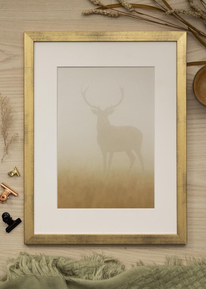 Estancia Frame Stilren Acrylic glass Gold 50x70 cm
