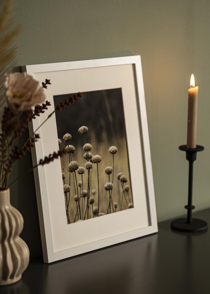 BGA Frame Selection Acrylic Glass White 60x70 cm