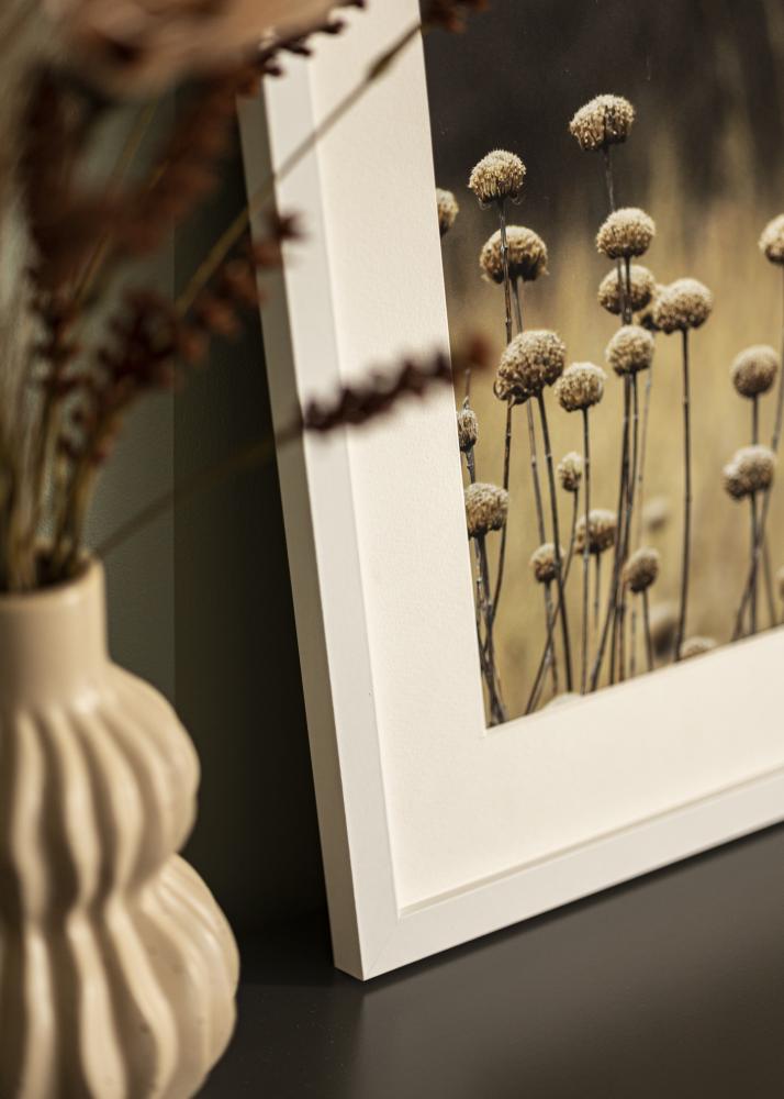 BGA Frame Selection Acrylic Glass White 60x70 cm