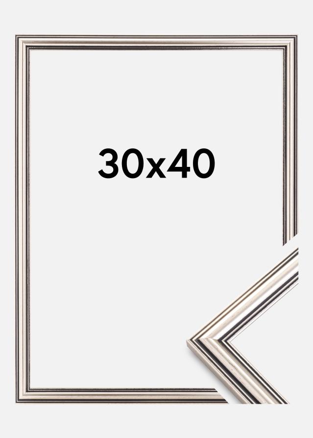 Focus Frame Tango Silver 30x40 cm