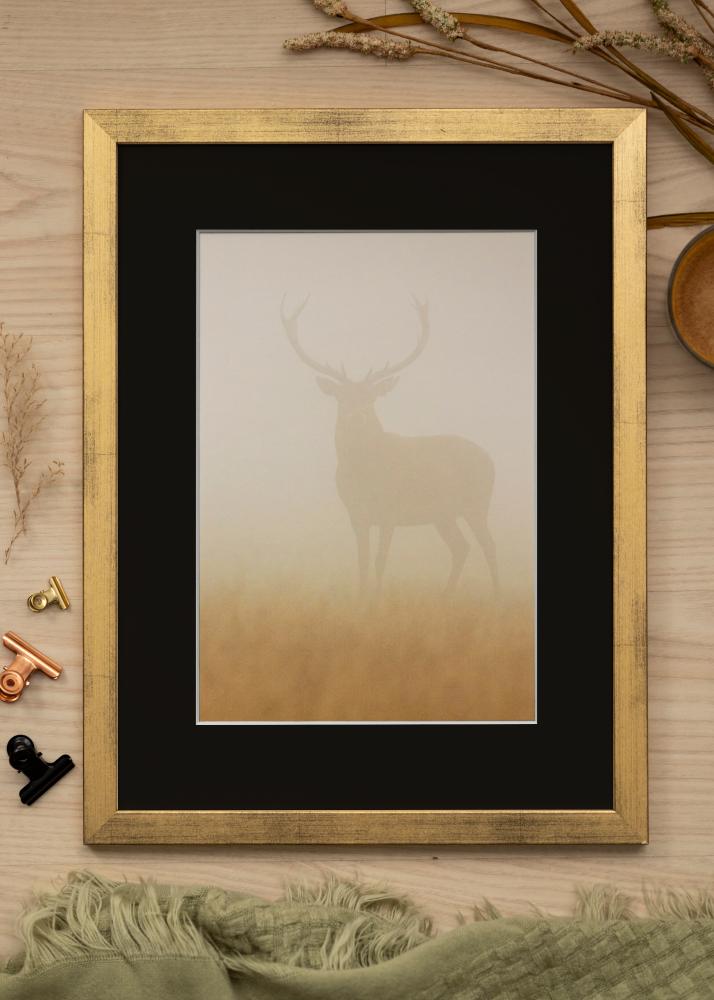 Ram med passepartou Frame Stilren Gold 20x30 cm - Picture Mount Black 15x21 cm