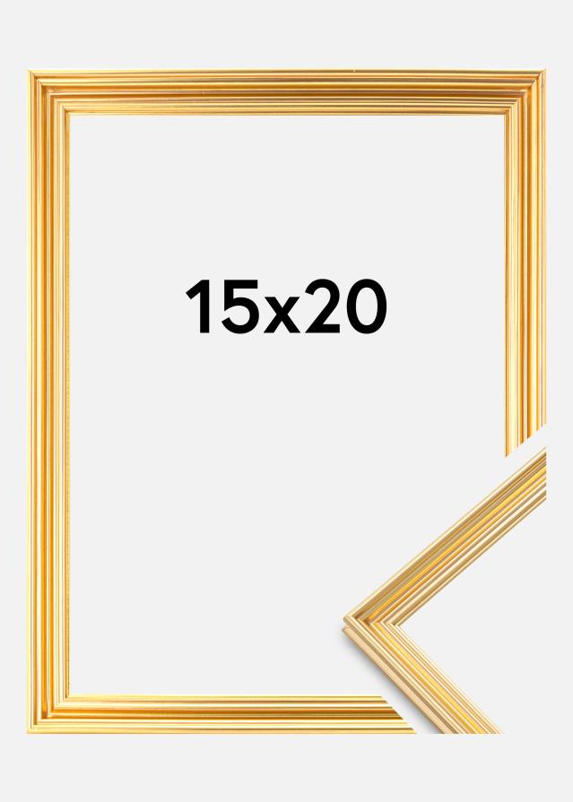 Focus Frame Verona Gold 15x20 cm
