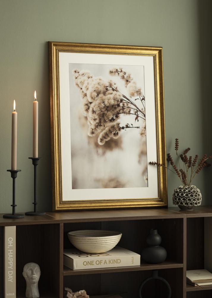 Estancia Frame Rokoko Acrylic glass Gold 50x50 cm