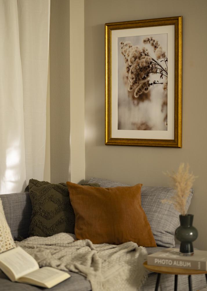 Estancia Frame Rokoko Acrylic glass Gold 50x50 cm