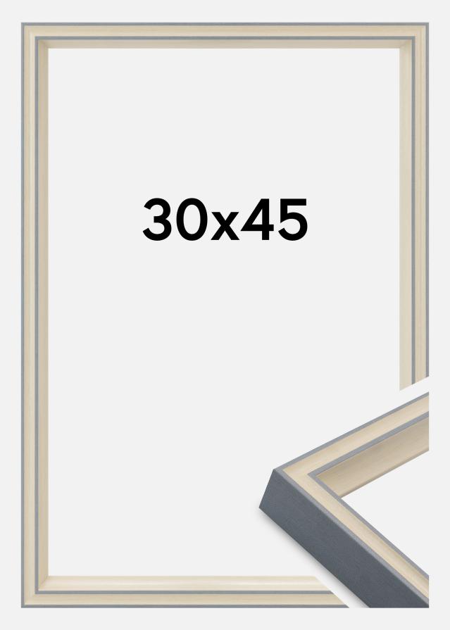 Jämtlands Ramfabrik Frame Riga Acrylic Glass Grey 30x45 cm