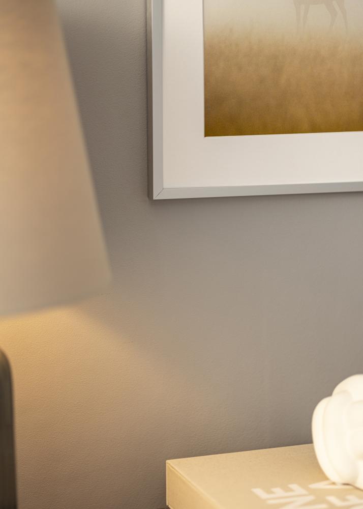 Ramverkstad Mirror Helsingfors Silver - Custom Size