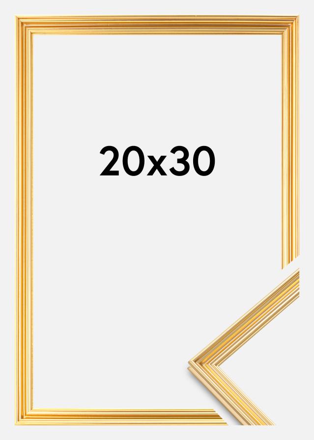 Focus Frame Verona Gold 20x30 cm