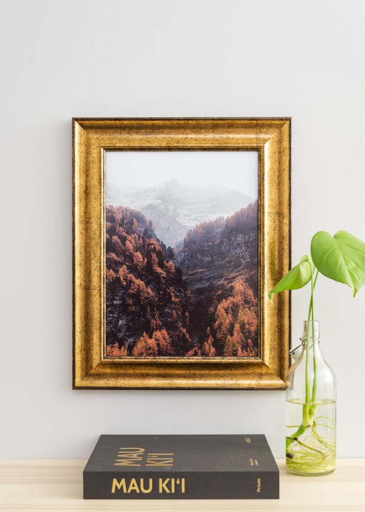 Galleri 1 Frame Saltsjöbaden Acrylic glass Gold 50x60 cm