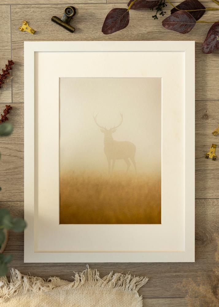 Artlink Frame BGA Classic Acrylic Glass White 70x90 cm