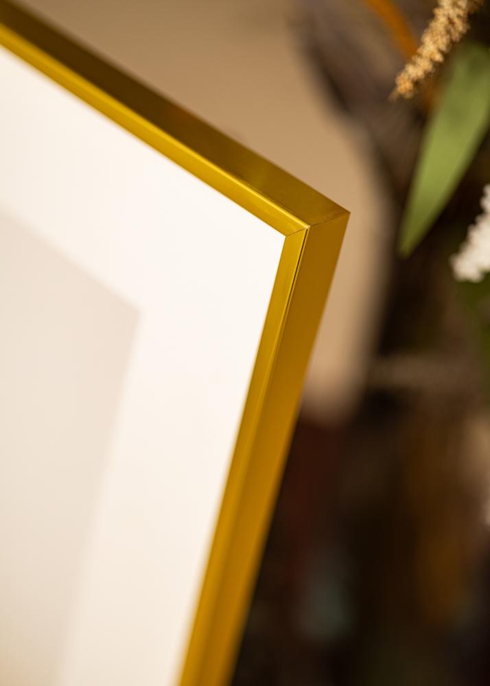 BGA Aluminium Frame Acrylic Glass Gold 40x50 cm