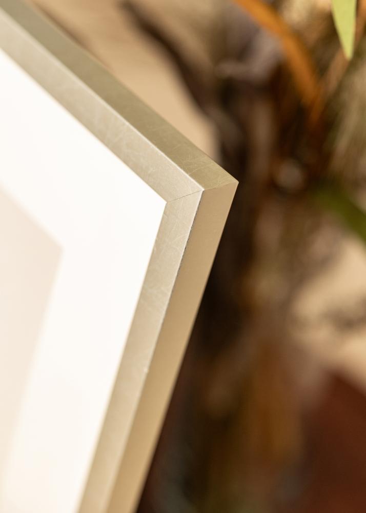 Mavanti Frame Minerva Acrylic Glass Silver 40x60 cm