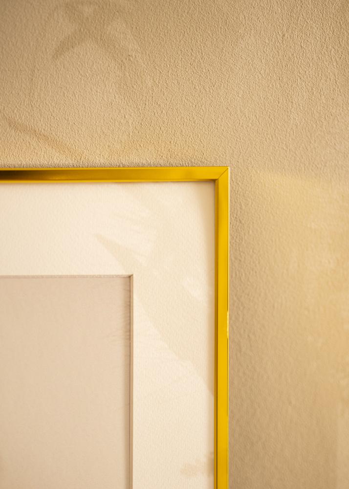 BGA Aluminium Frame Acrylic Glass Gold 40x50 cm