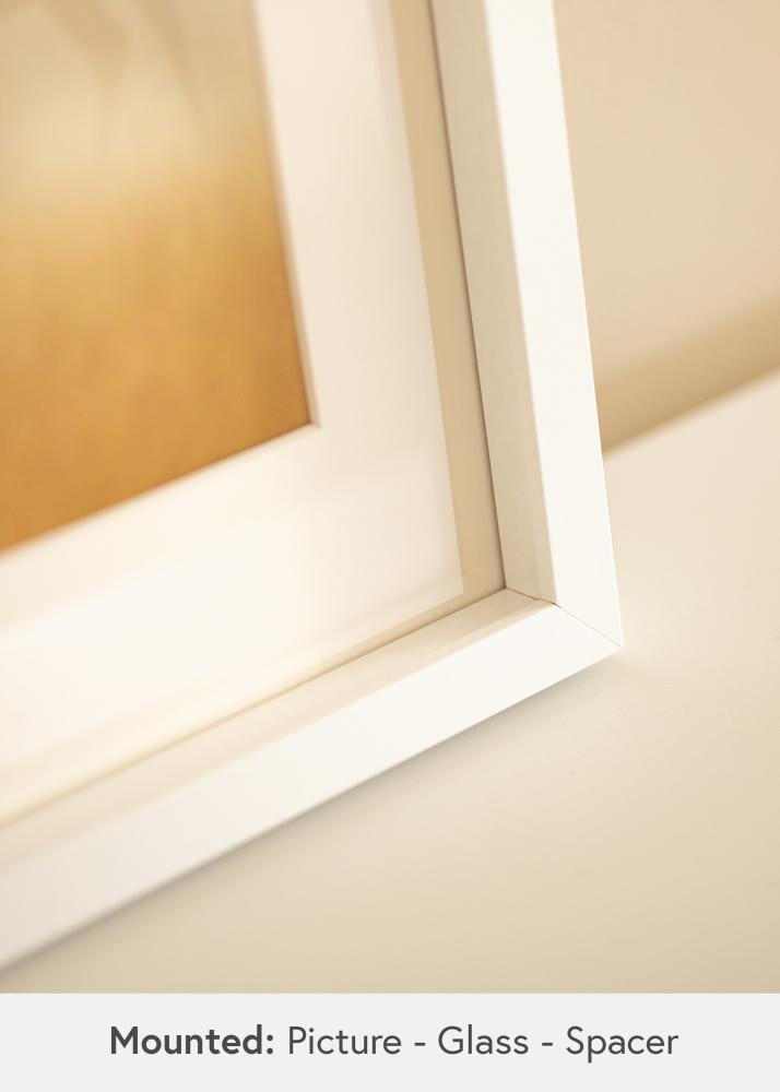 BGA BGA Box Frame Acrylic Glass White 70x100 cm