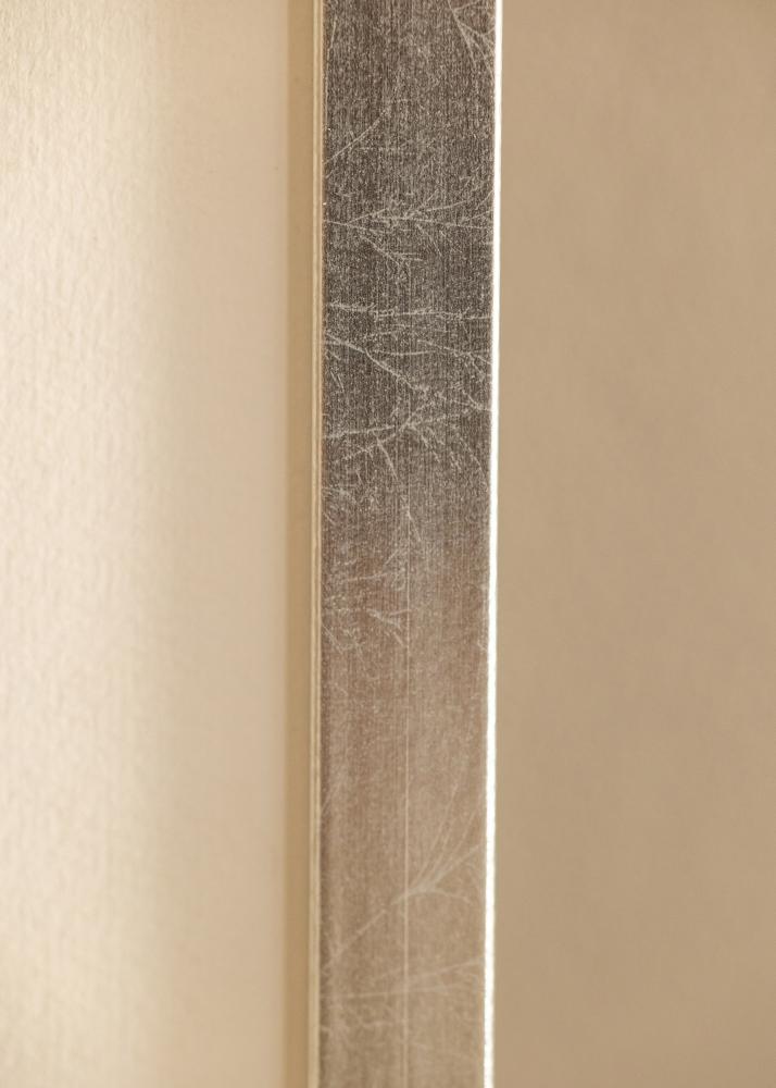 Mavanti Frame Minerva Acrylic Glass Silver 40x60 cm