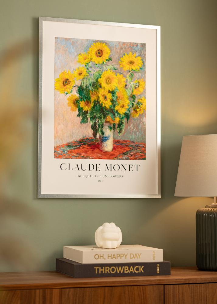 Mavanti Frame Minerva Acrylic Glass Silver 40x60 cm