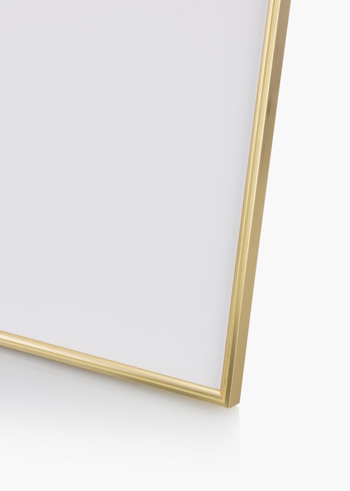 Walther Frame Hipster Gold 40x60 cm