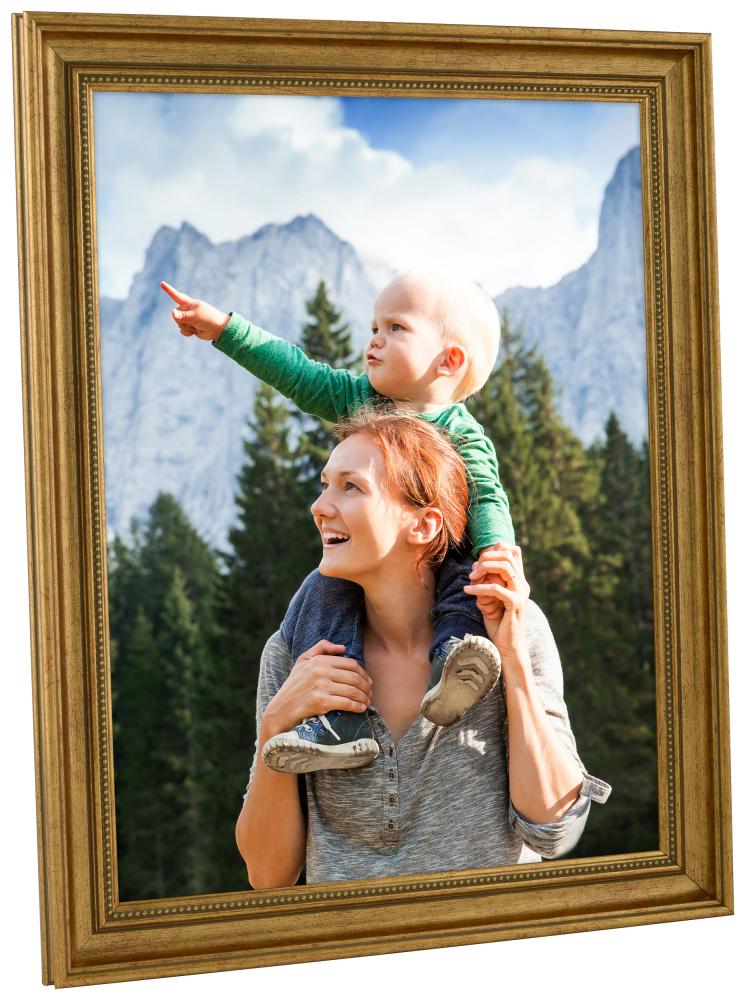 Ramverkstad Frame Haga Gold - Custom Size