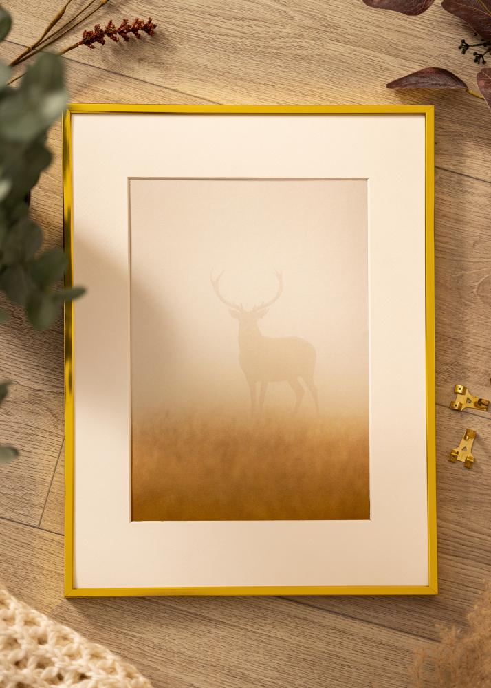 BGA Aluminium Frame Acrylic Glass Gold 40x50 cm