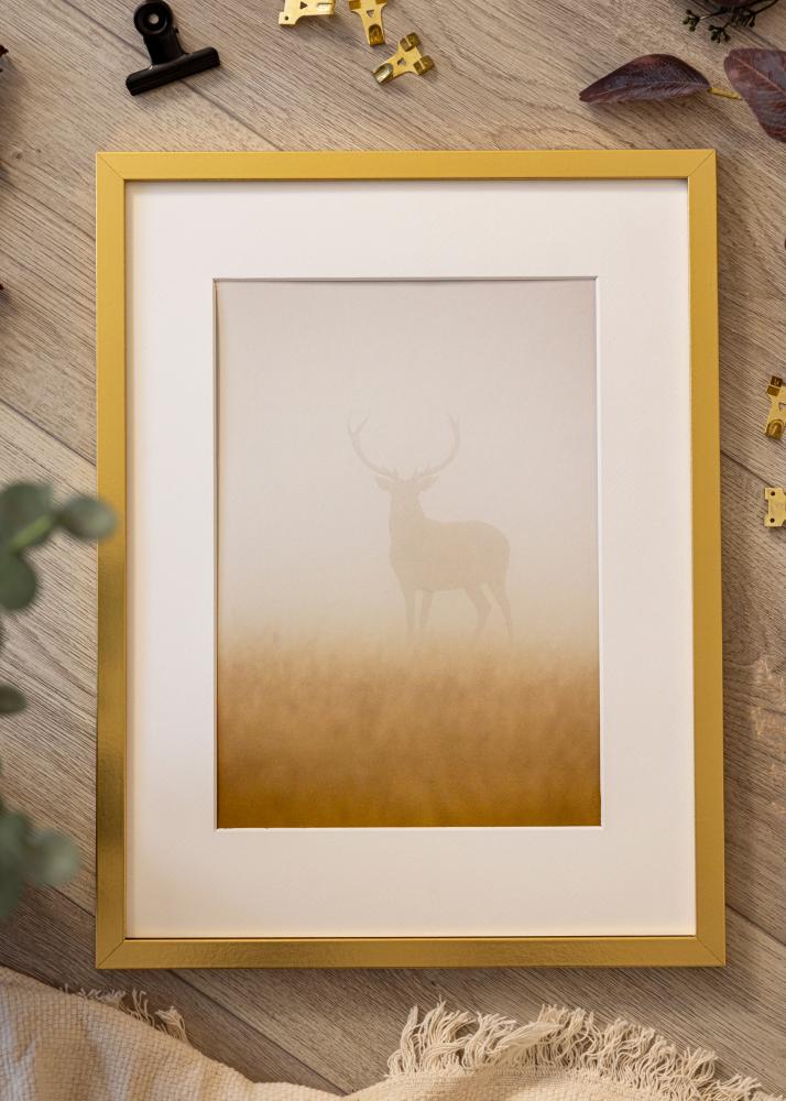 Mavanti Frame Minerva Acrylic Glass Gold 50x70 cm