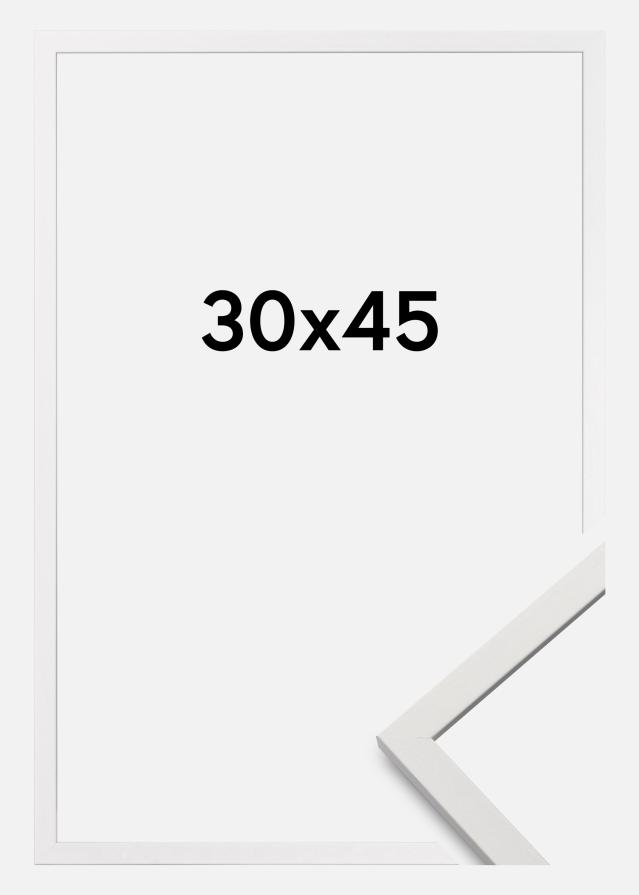 Galleri 1 Frame Edsbyn White 30x45 cm