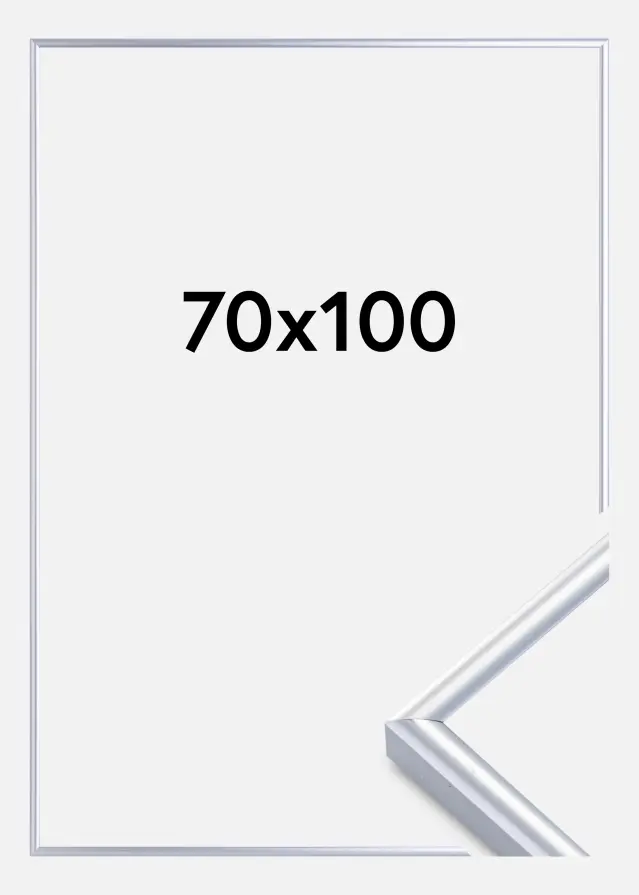 Estancia Frame Victoria Acrylic glass Silver 70x100 cm