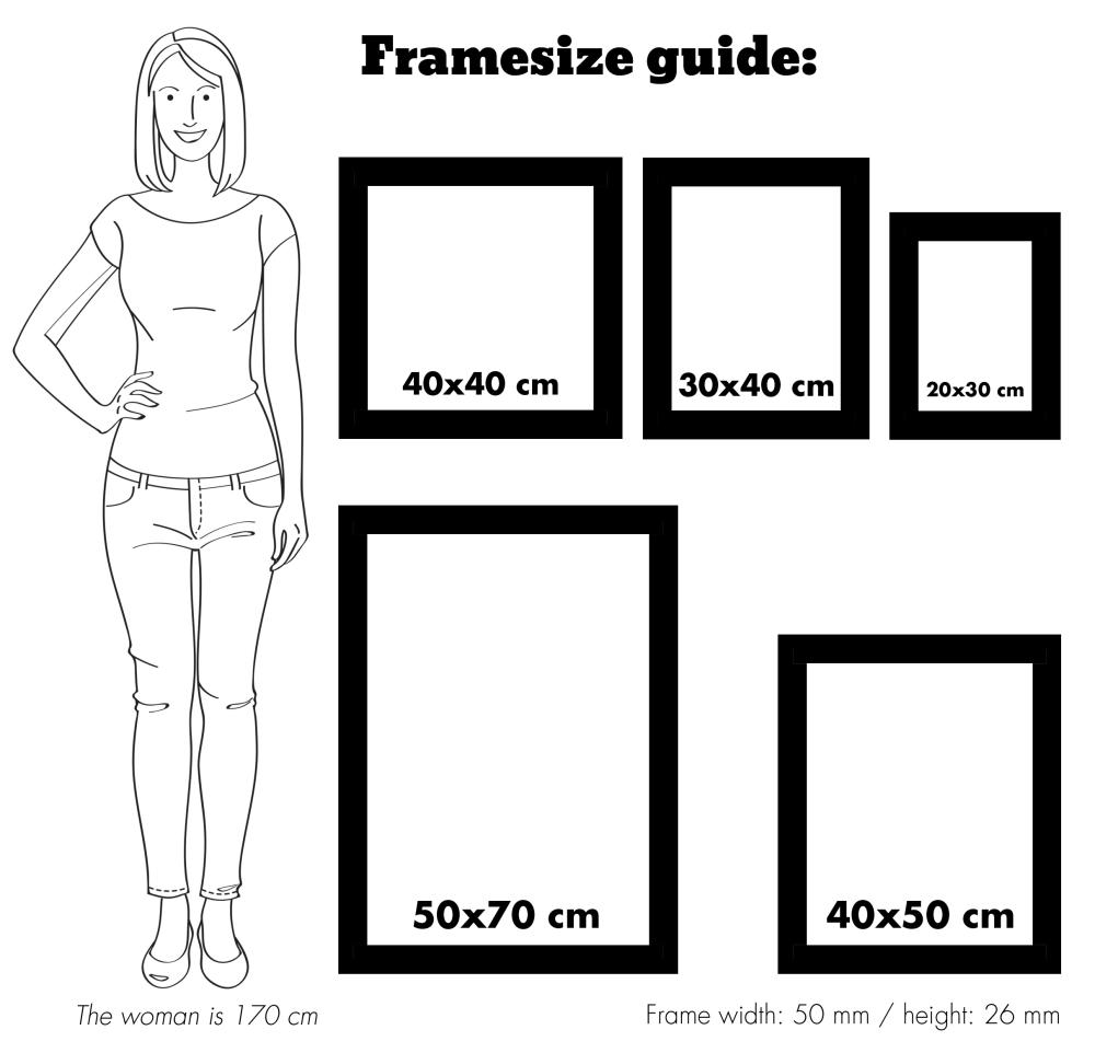 Estancia Frame Rokoko Silver 50x70 cm