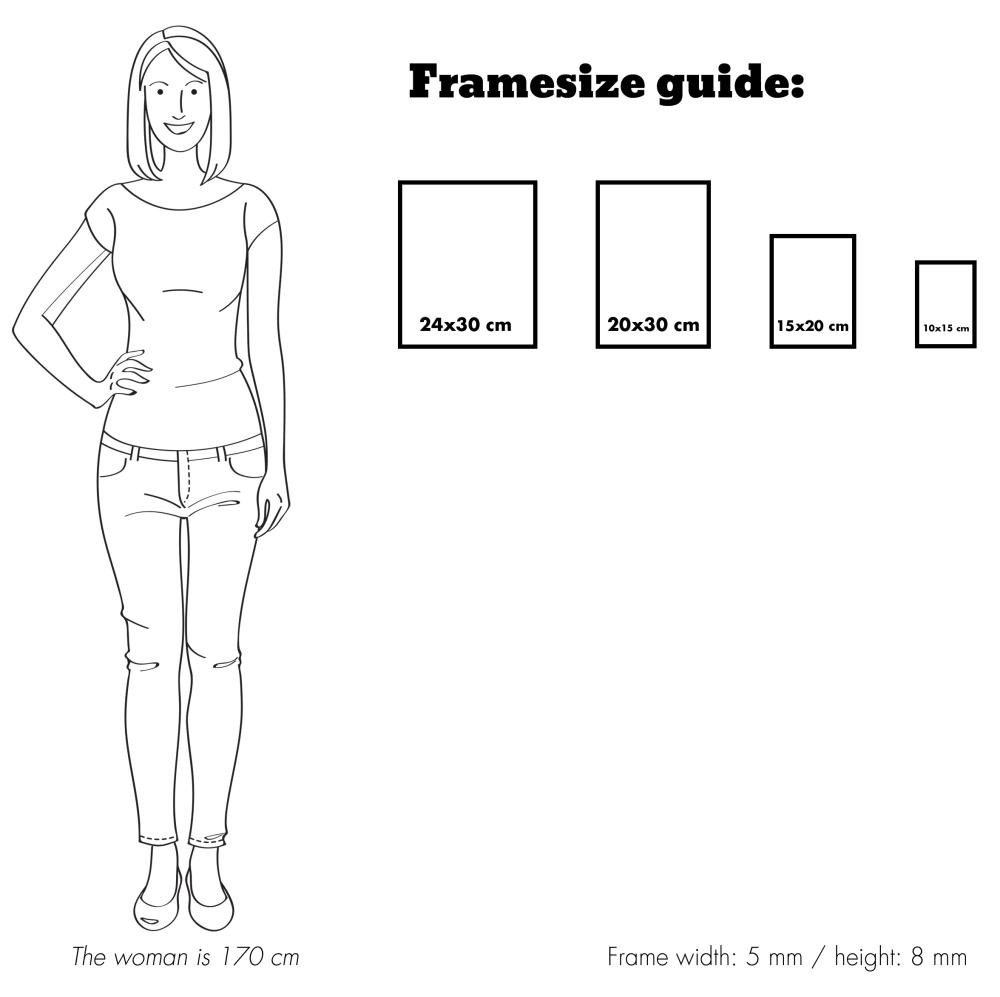 Eiri Kehykset Frame Rosen Metal Silver 10x13 cm