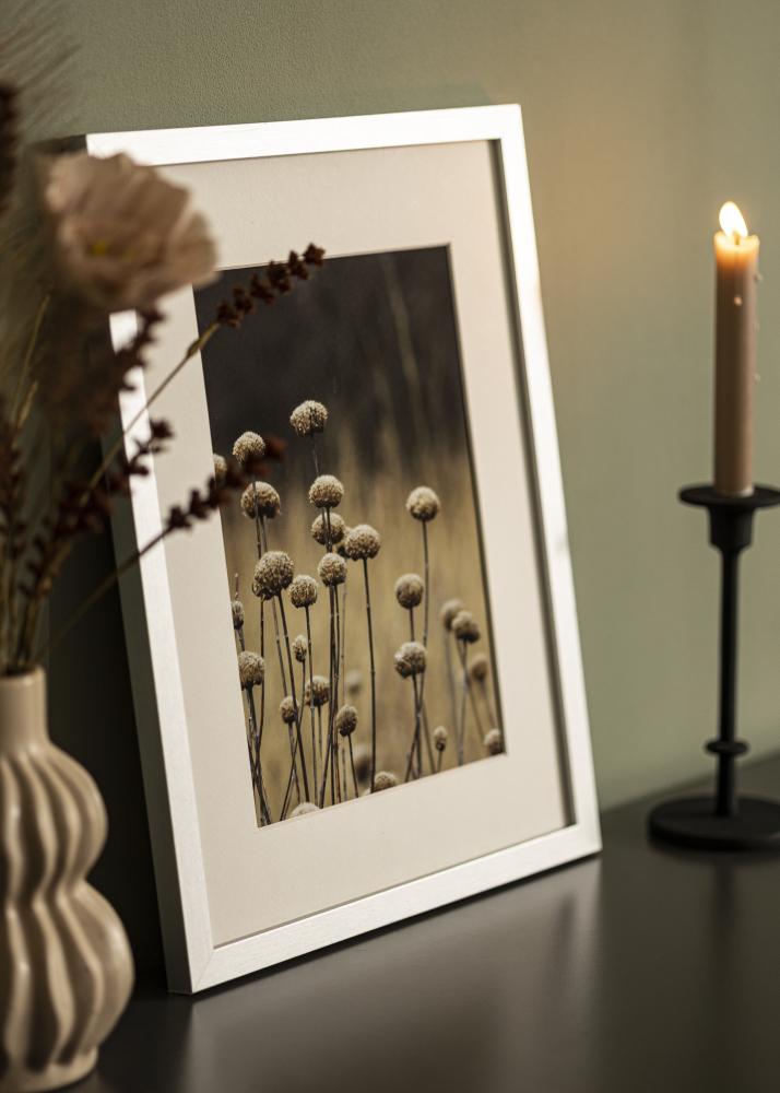 BGA Frame Selection Acrylic Glass Silver 13x18 cm