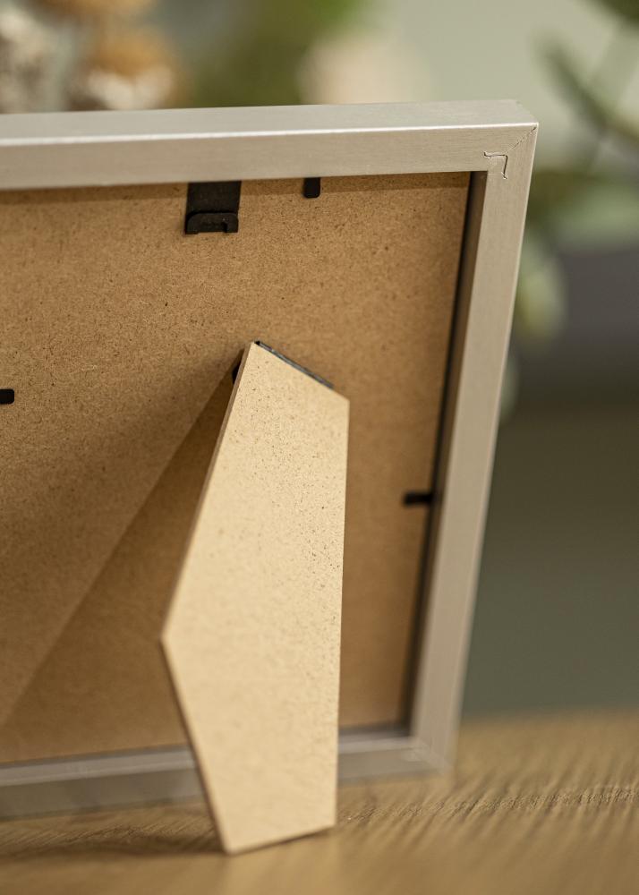 BGA Frame Selection Acrylic Glass Silver 13x18 cm