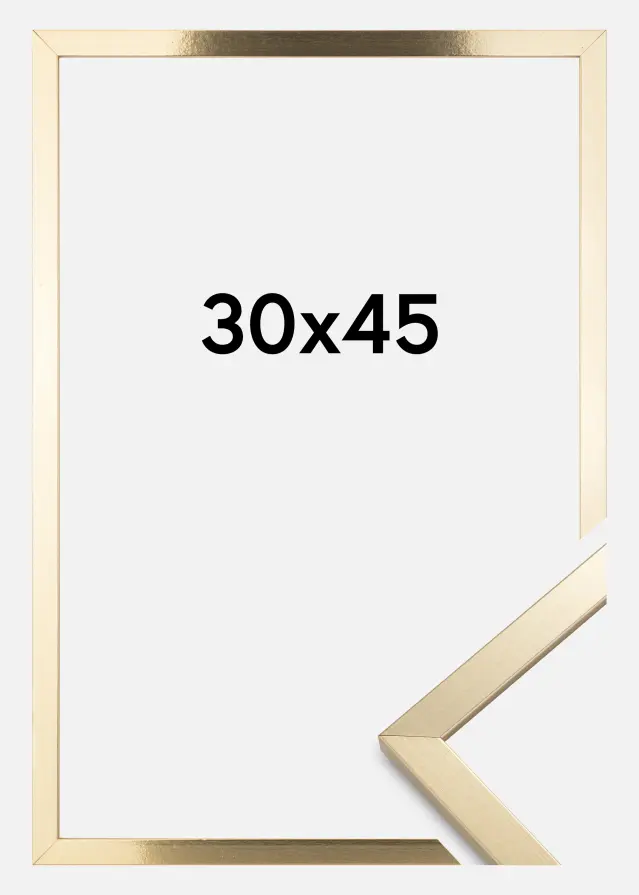 BGA Frame Trendy Acrylic glass Gold 30x45 cm