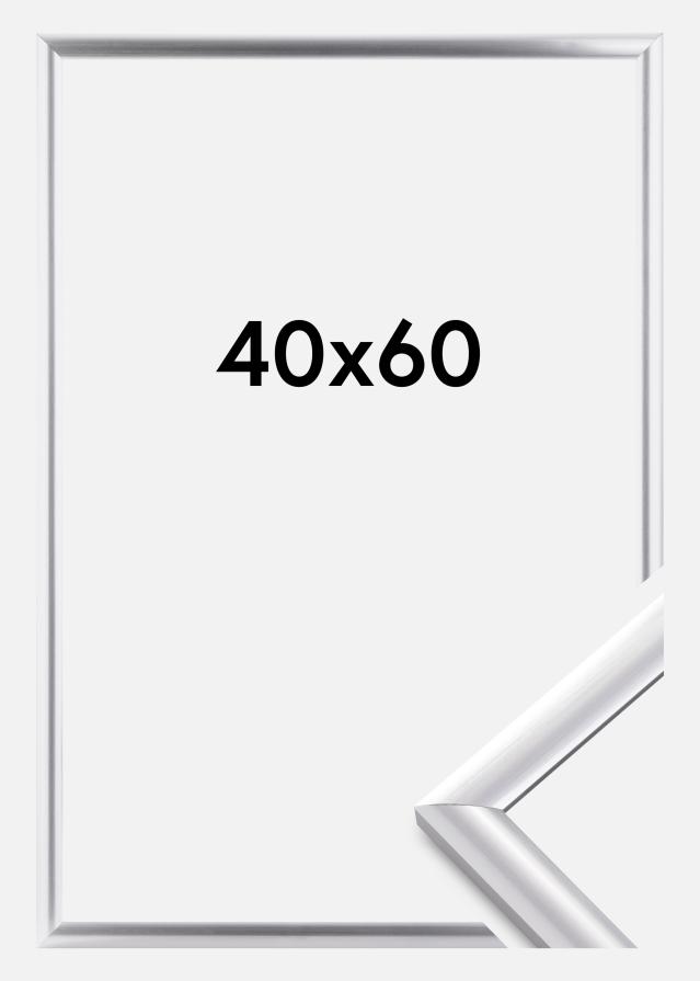 Walther Frame Trendstyle Silver 40x60 cm