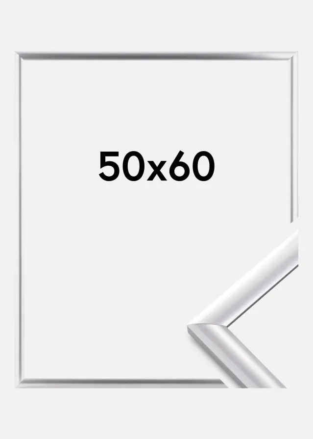 Walther Frame Trendstyle Silver 50x60 cm
