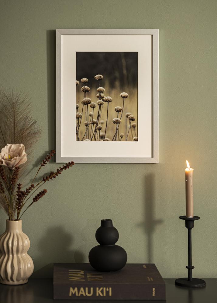 BGA Frame Selection Acrylic Glass Silver 13x18 cm