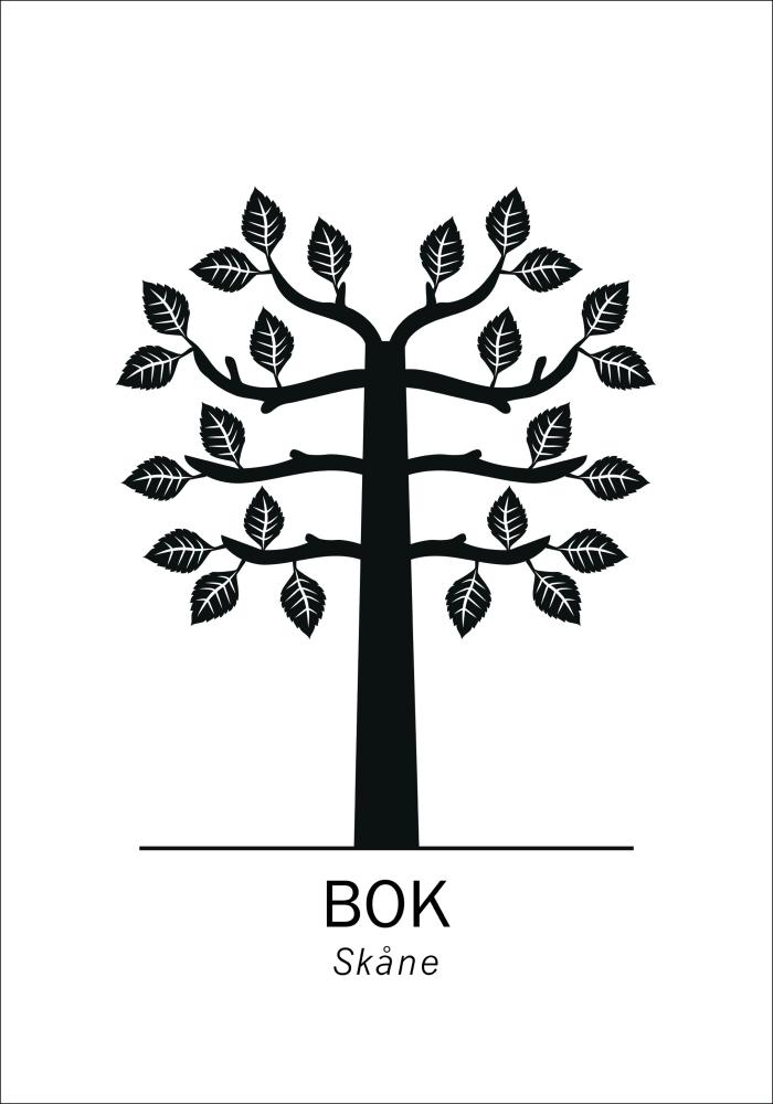 Bildverkstad European beech - Skåne Poster