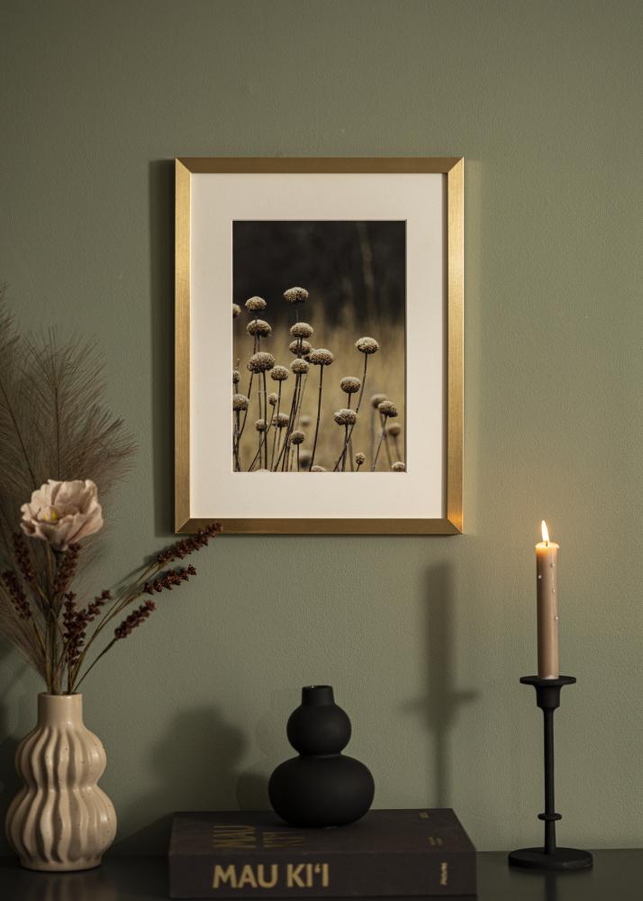 Artlink Frame Selection Acrylic Glass Gold 60x90 cm