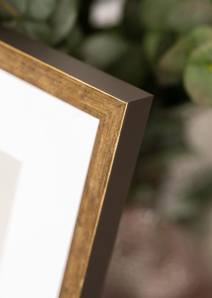 Jämtlands Ramfabrik Frame Dune Acrylic Glass Gold 21x29.7 cm (A4)