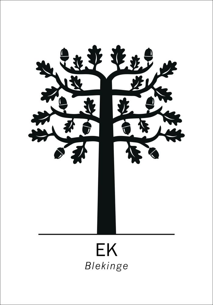 Bildverkstad Poster
