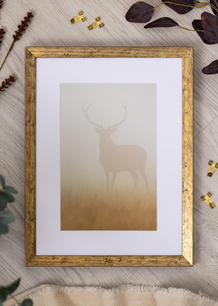 Jämtlands Ramfabrik Frame Dune Acrylic Glass Gold 21x29.7 cm (A4)